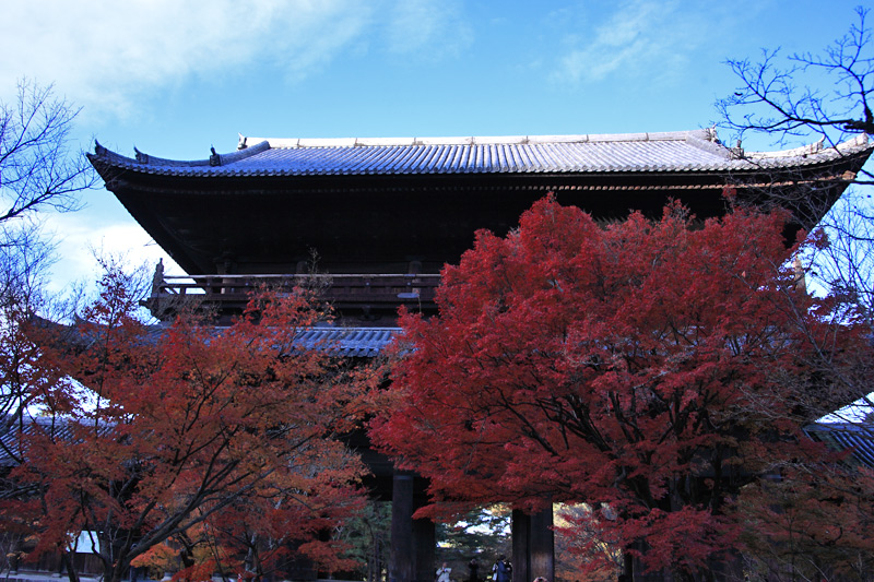 e0025930_2246091.jpg