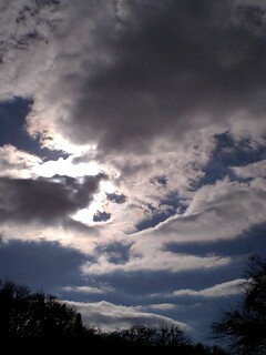 f0118332_1754250.jpg