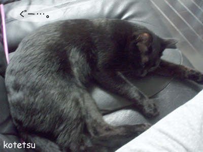 c0132438_2324257.jpg