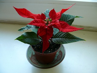 c0153740_2242366.jpg