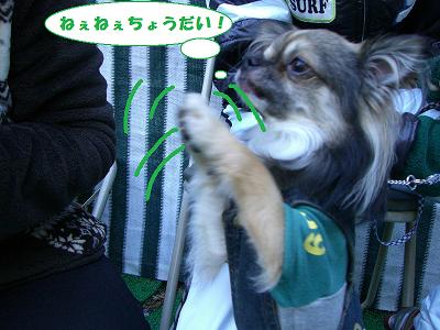 f0186040_12186.jpg