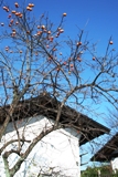 c0122445_17553319.jpg