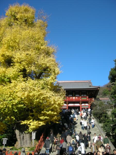 e0043548_2382283.jpg