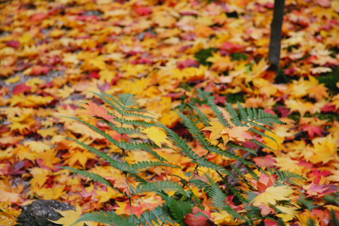 a0024250_22174036.jpg