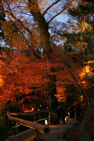 a0024250_2228514.jpg