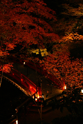 a0024250_22313877.jpg