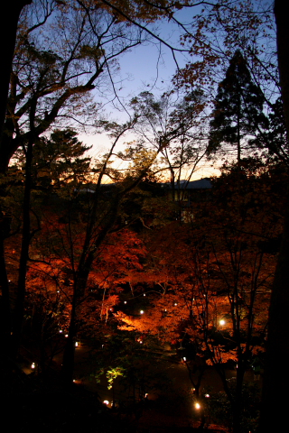 a0024250_22404789.jpg