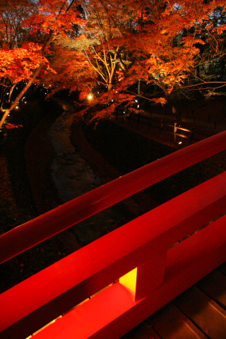 a0024250_22462751.jpg