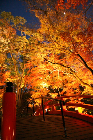a0024250_22505837.jpg