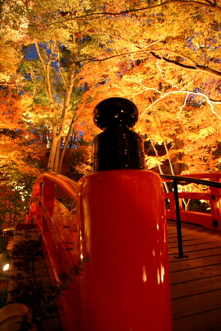 a0024250_22525437.jpg