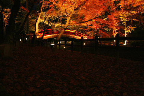 a0024250_2304621.jpg