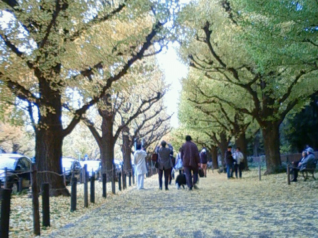 c0164652_20385683.jpg