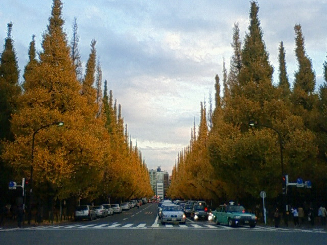 c0164652_20422867.jpg