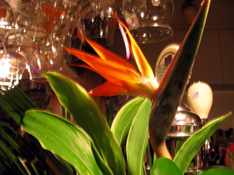 e0050753_2031320.jpg