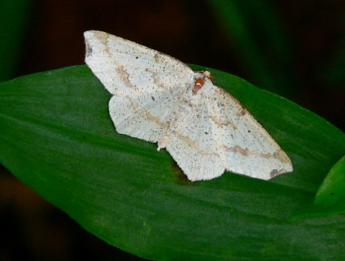 d0091754_0264088.jpg