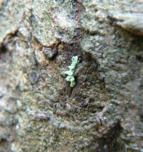 d0091754_0514312.jpg
