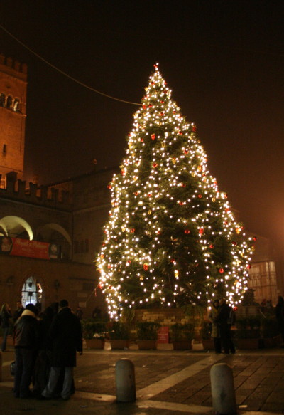 f0077159_0241843.jpg