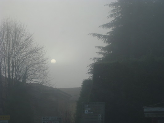 f0077159_2226818.jpg
