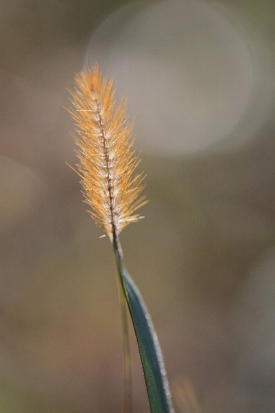 d0128465_186121.jpg