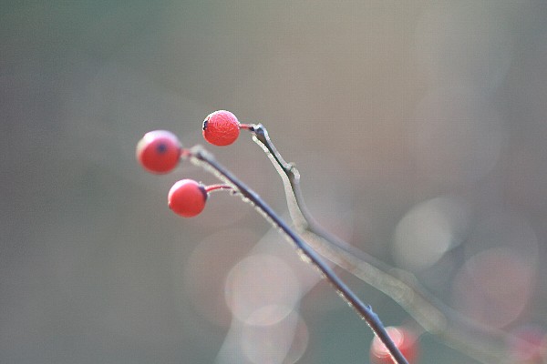 d0128465_1865115.jpg