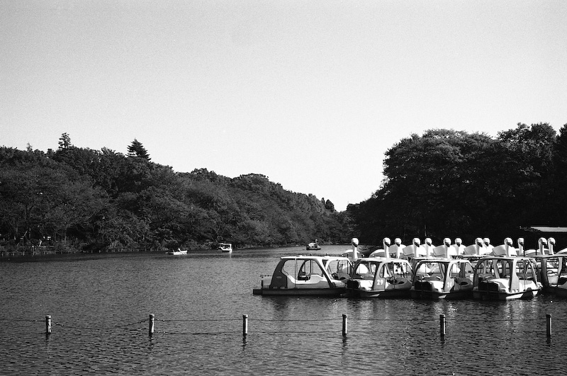 c0084666_2216467.jpg