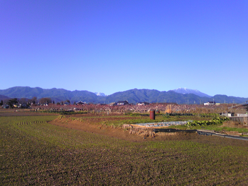 f0016868_813933.jpg