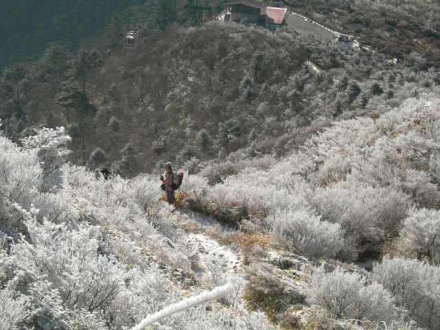 c0042869_2027118.jpg