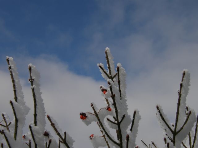 c0042869_20273849.jpg