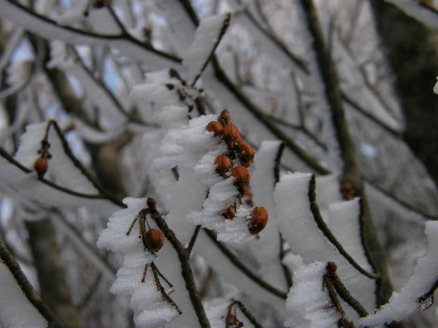c0042869_20275084.jpg