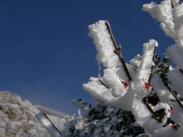 c0042869_20342086.jpg
