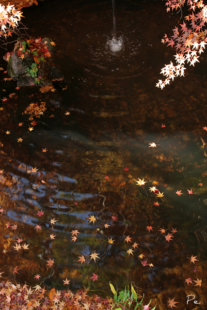 c0163369_012594.jpg