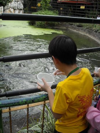 f0062870_1118810.jpg