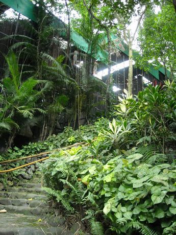 f0062870_118238.jpg