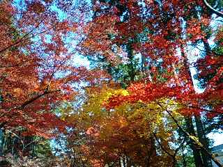 e0025073_10174251.jpg
