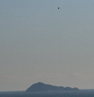 f0181173_8164347.jpg