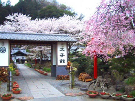 c0078480_043072.jpg