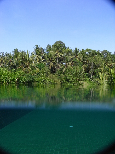 b0101284_072949.jpg