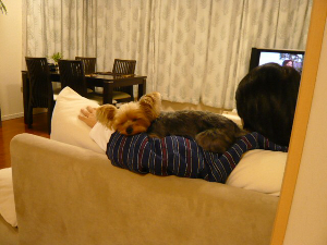 f0018384_10132688.jpg