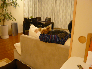 f0018384_1014825.jpg