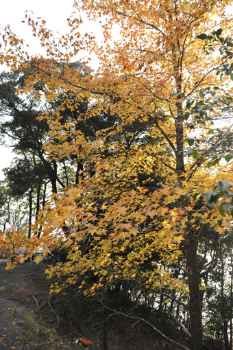 f0112087_1746051.jpg
