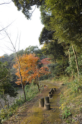 f0112087_17491392.jpg