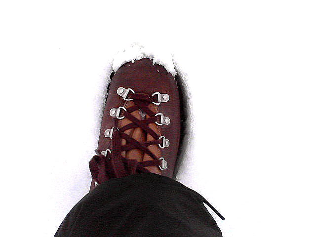 a0007388_10304881.jpg