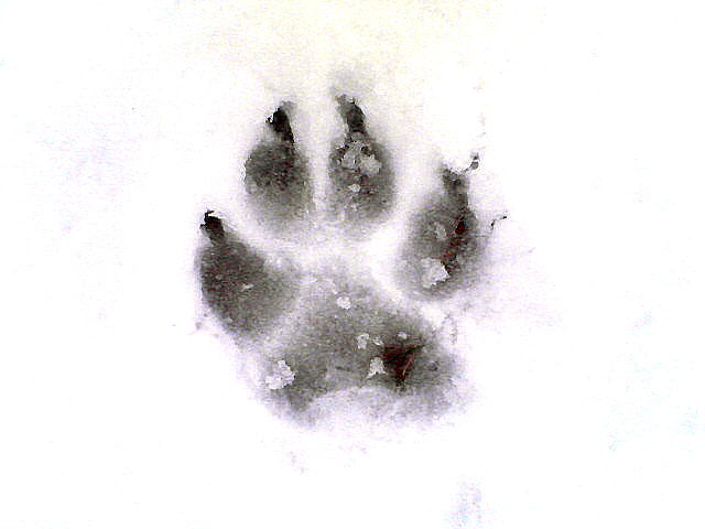 a0007388_10351635.jpg