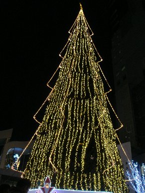 b0075888_555320.jpg