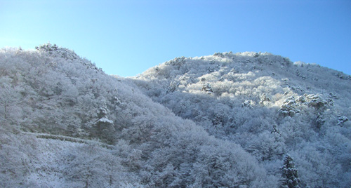 b0099994_7352628.jpg