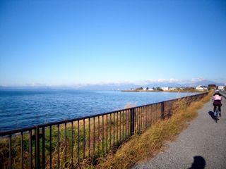 d0010496_111591.jpg