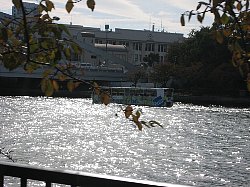 e0038796_0315950.jpg