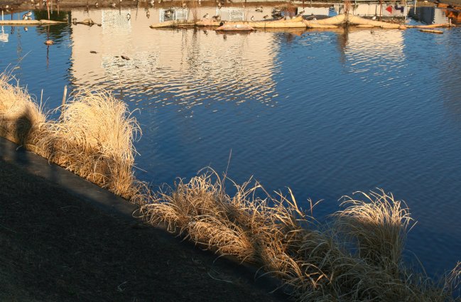 c0084097_22333580.jpg