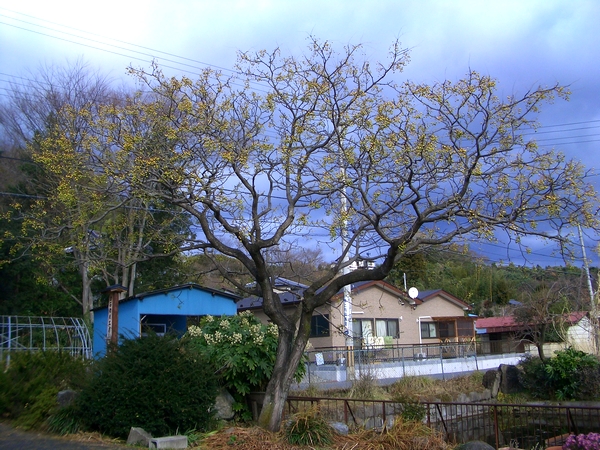 d0069498_2250742.jpg