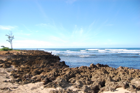 a0011999_21515347.jpg